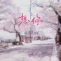 So tell me why 想你专辑