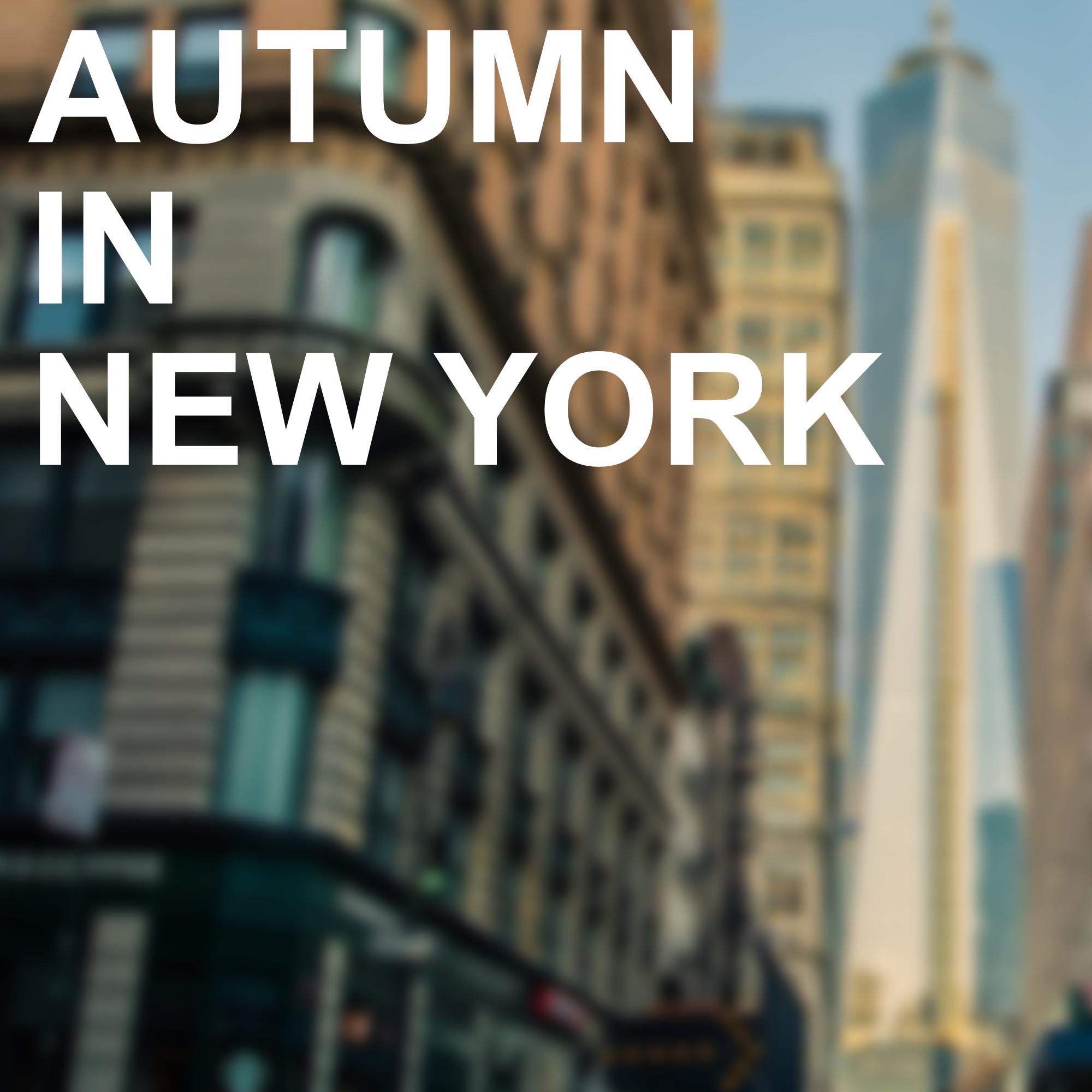 Autumn in New York专辑