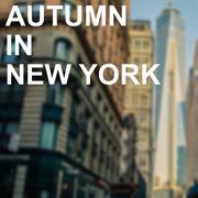 Autumn in New York