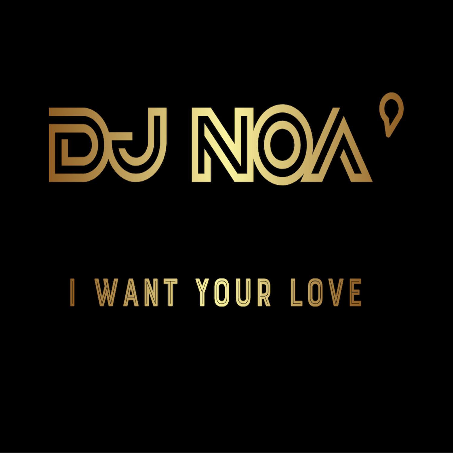 I Want Your Love