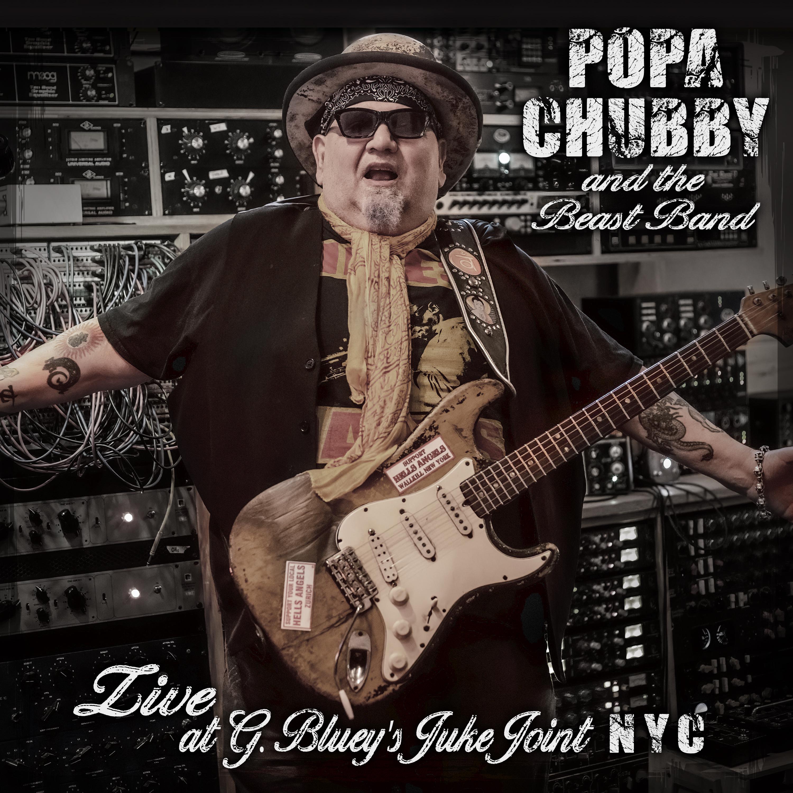 Popa Chubby - It’s a Mighty Hard Road (Live)