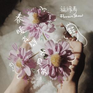 福禄寿FloruitShow - 春暖花开去见你(Demo) （降8半音）