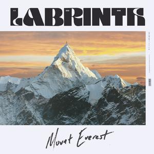 Labrinth - Mount Everest (VS Instrumental) 无和声伴奏 （降1半音）