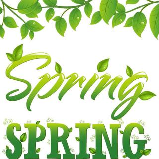 Gymboree【Spring Fling Dojo春游道场】