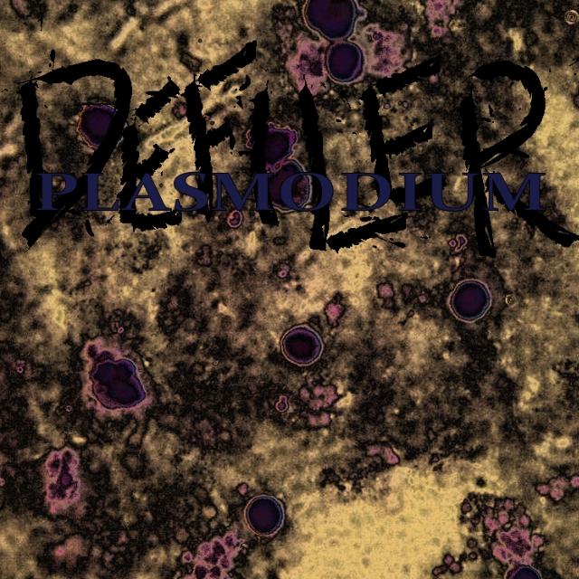 Plasmodium