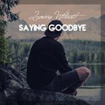 Leaving Without Saying Goodbye专辑