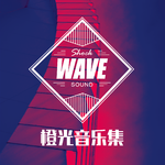 橙光音乐集·SHOCKWAVESOUND篇3专辑