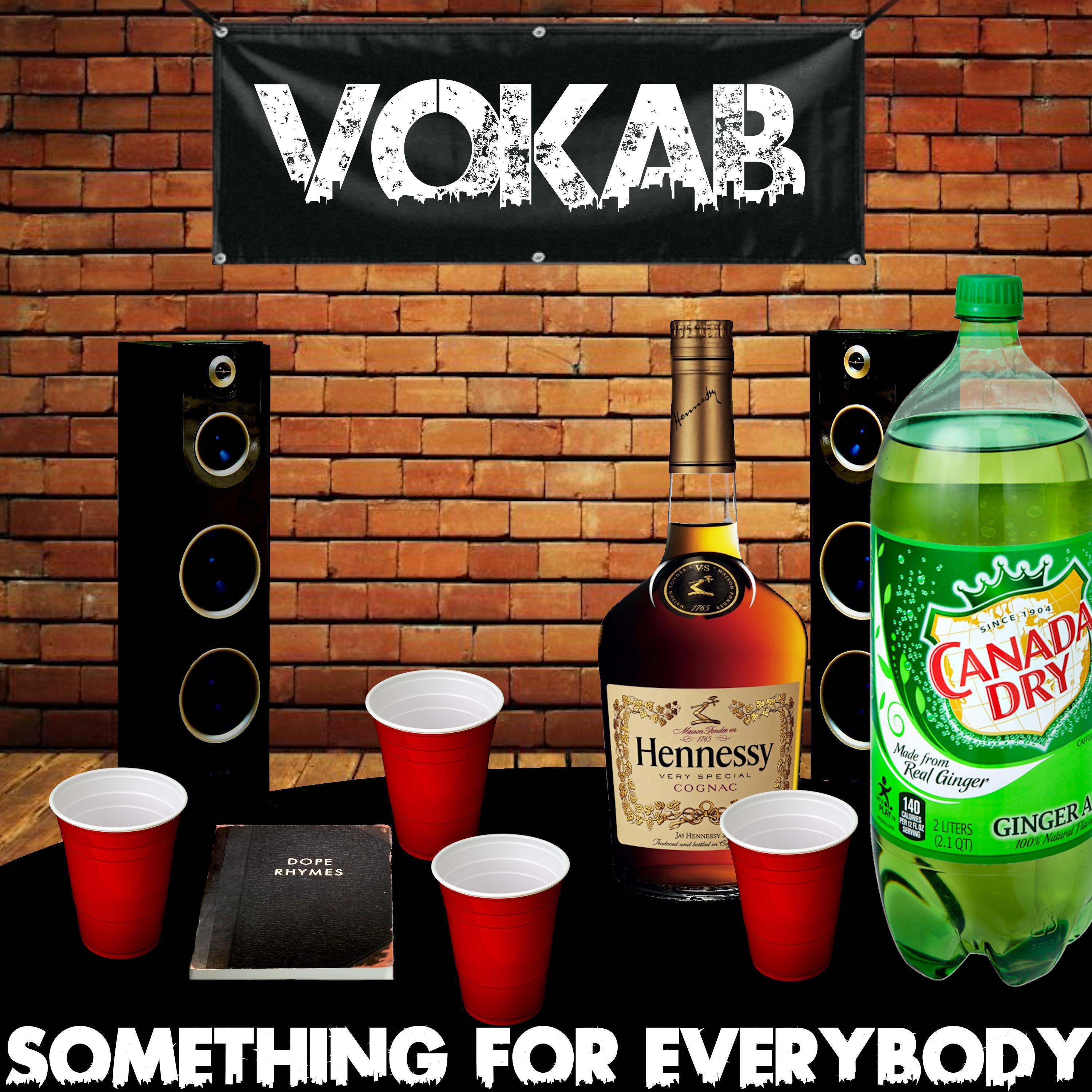 Vokab - A Little Something Like This