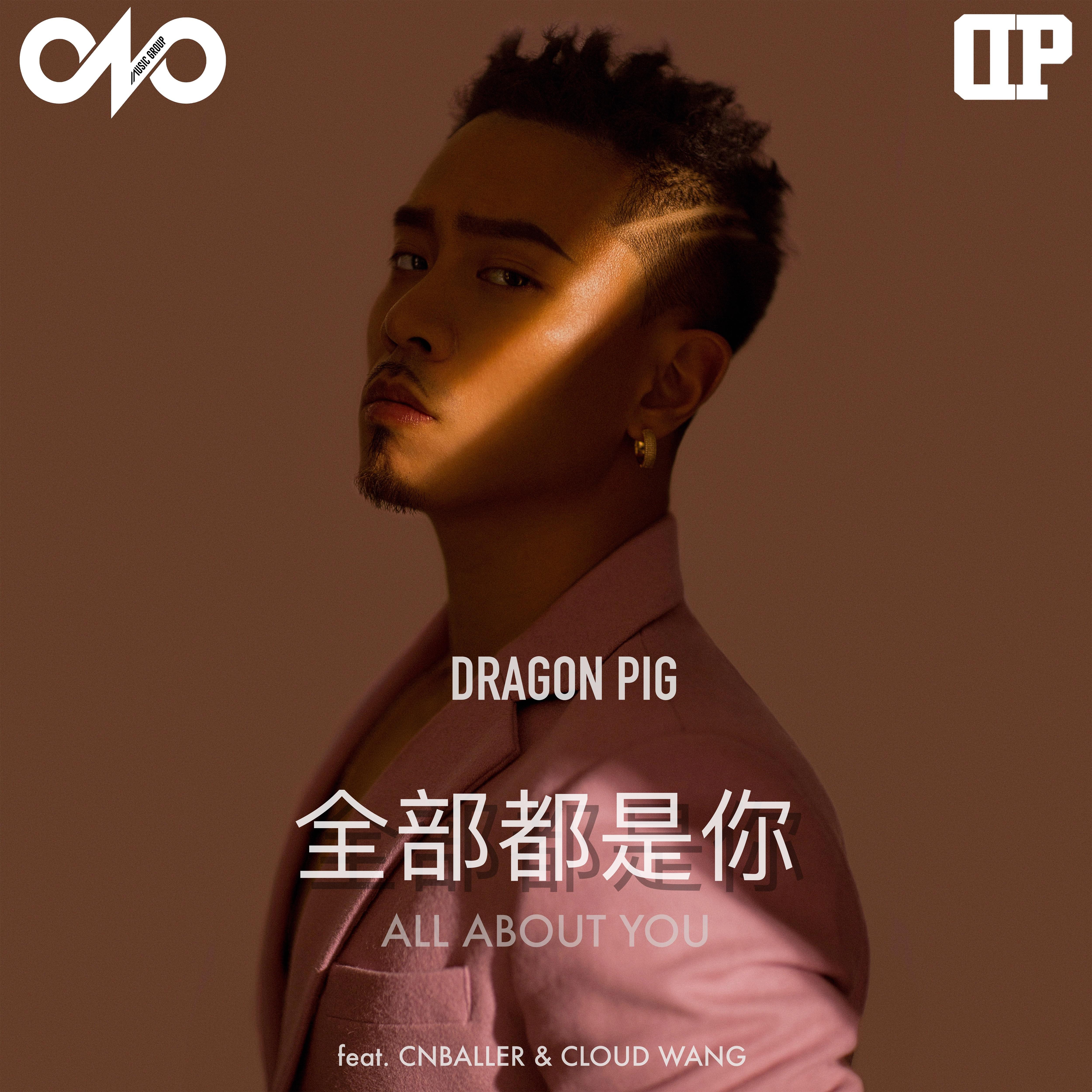 DP龙猪_CLOUDWANG 王云_CNBALLER-全部都是你.flac 下载插图
