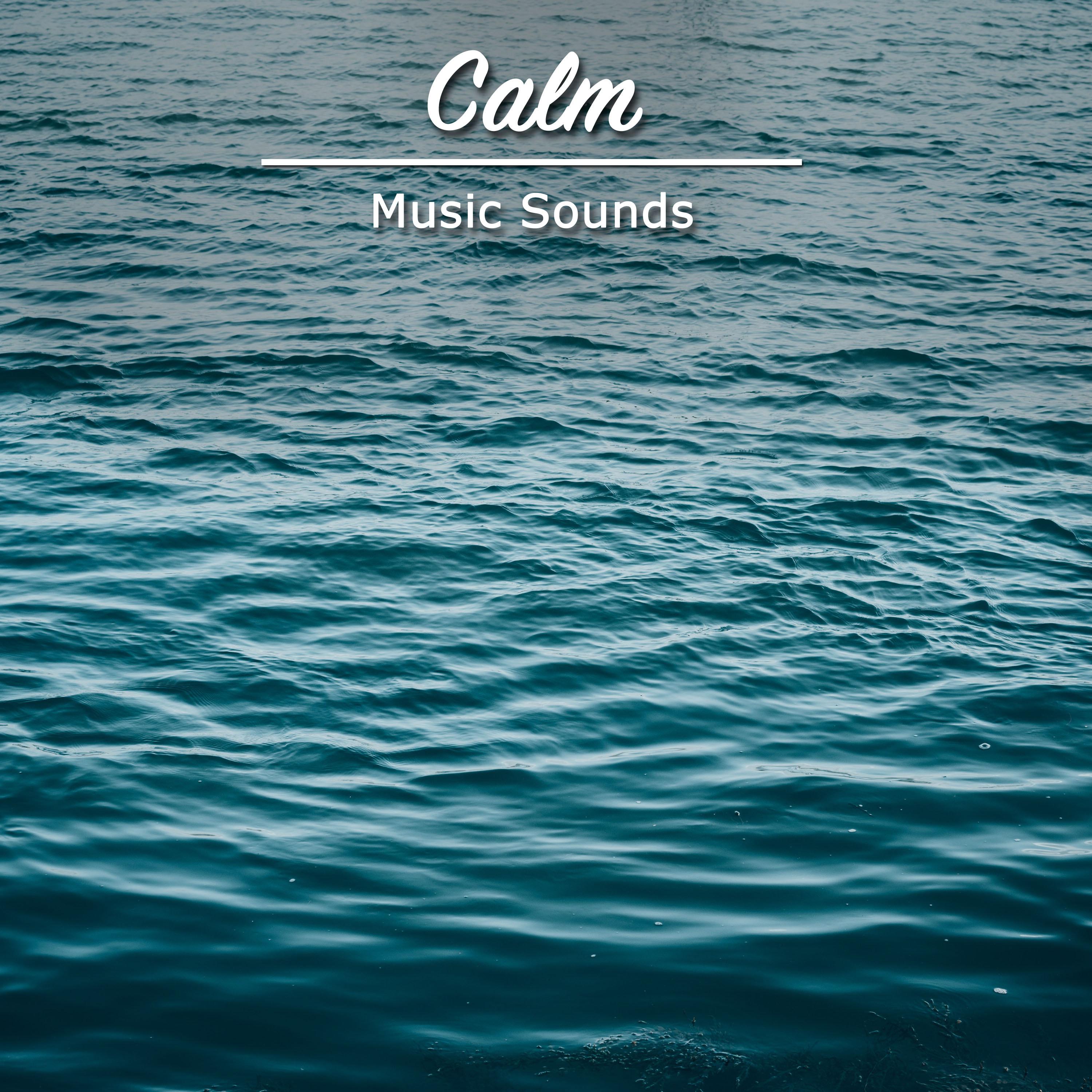 #16 Calm Music Sounds for Meditation and Yoga专辑