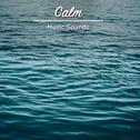 #16 Calm Music Sounds for Meditation and Yoga专辑