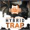 Hybrid Trap (Mix)专辑