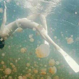 【华语黄歌】满汉sè气向，推荐外放。