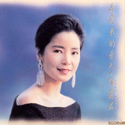 再见我的爱人8(1985-1994)