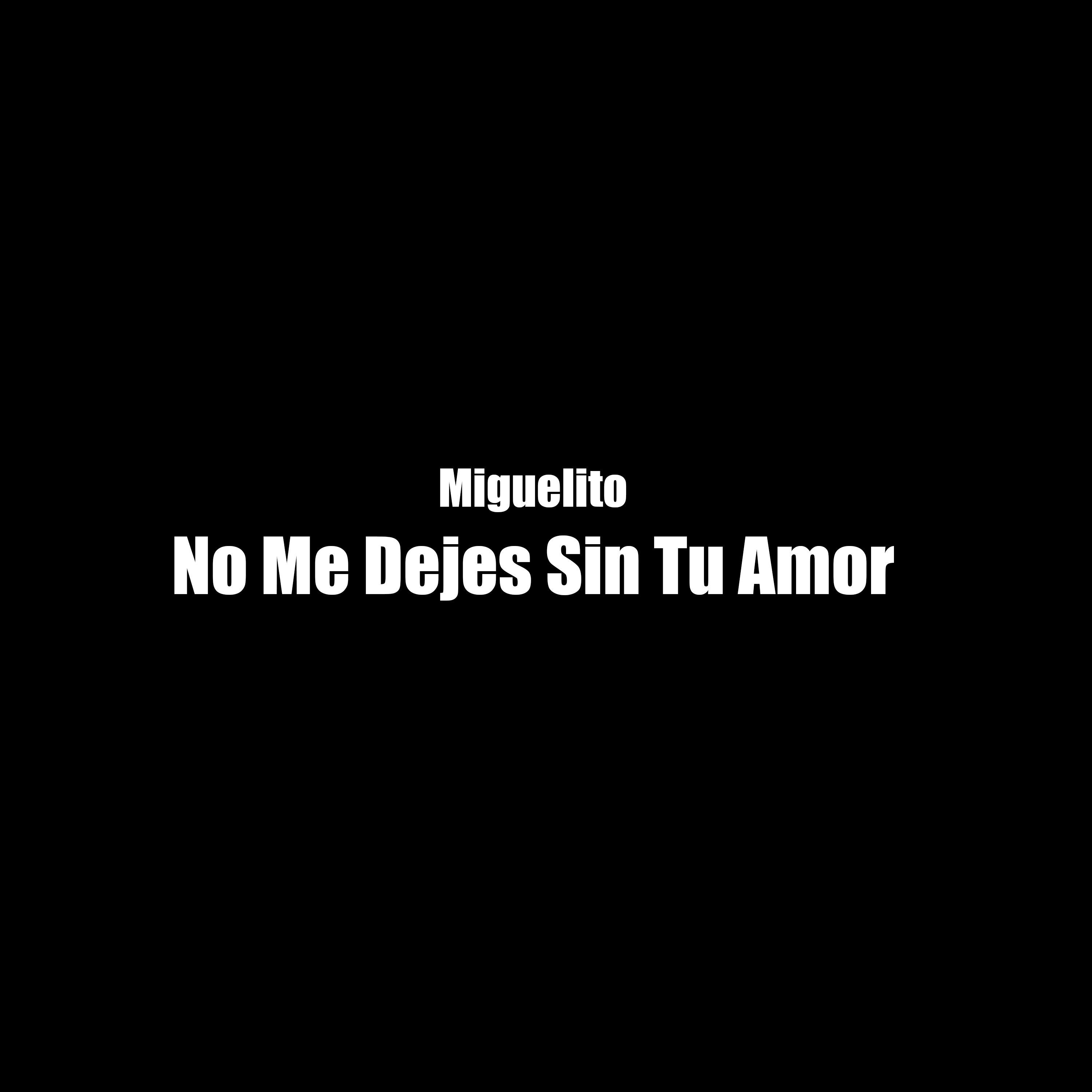 No Me Dejes Sin Tu Amor