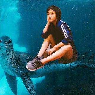 八组鹅单曲循环的各种live版歌单