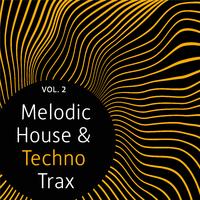 Melodic House & Techno Trax, Vol. 2