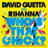 Who's That Chick ? (Afrojack Remix)