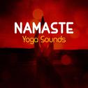 Namaste Yoga Sounds专辑