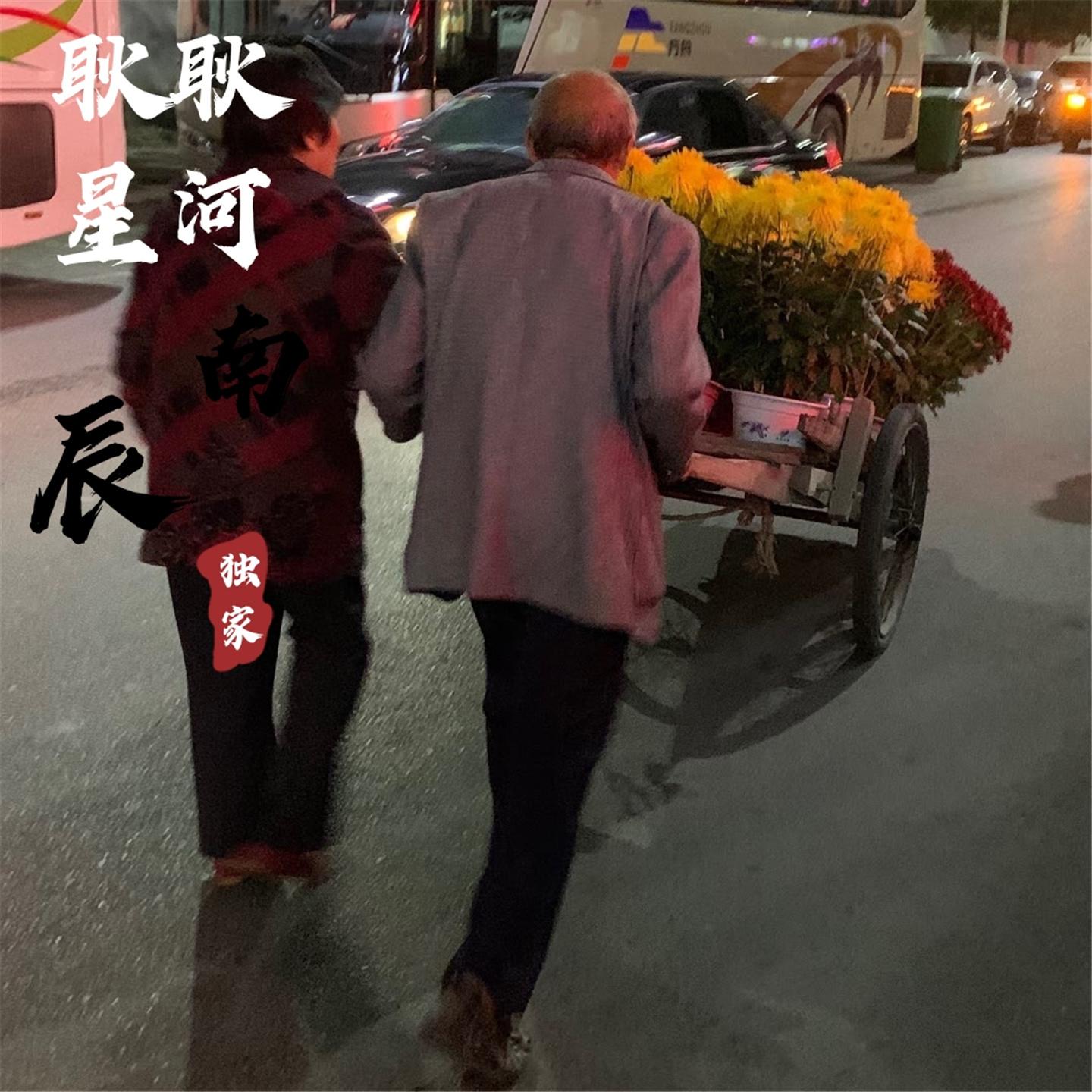 耿耿星河