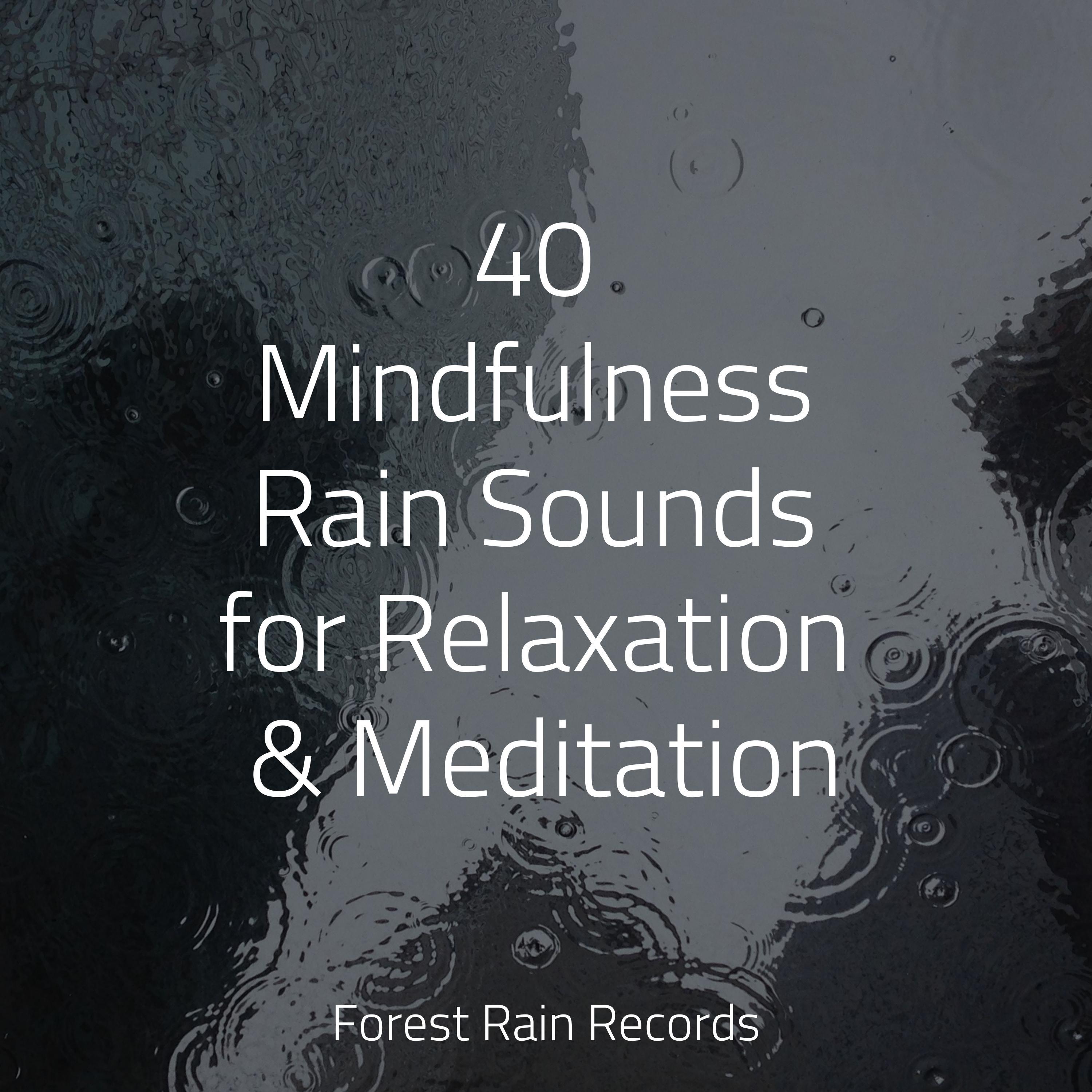 Meadows, Birds, Summer, Rustle