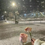 认真的雪