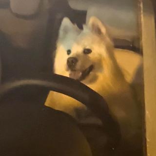 公路/开车/自驾游/车载音乐
