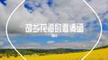 故乡花海的邀请函专辑