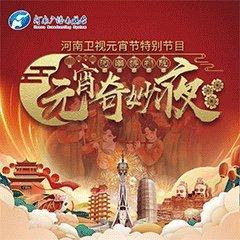 2021河南元宵奇妙夜+原版，歌曲持更ing