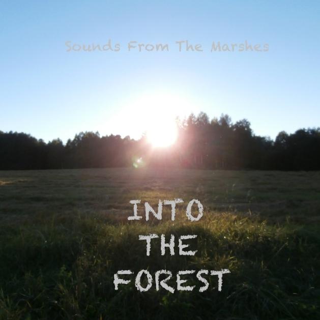 Into The Forest EP