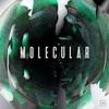 Molecular - Break the Habit