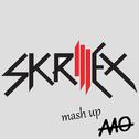 Skrillex (Mash up）专辑