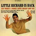 Little Richard Is Back专辑