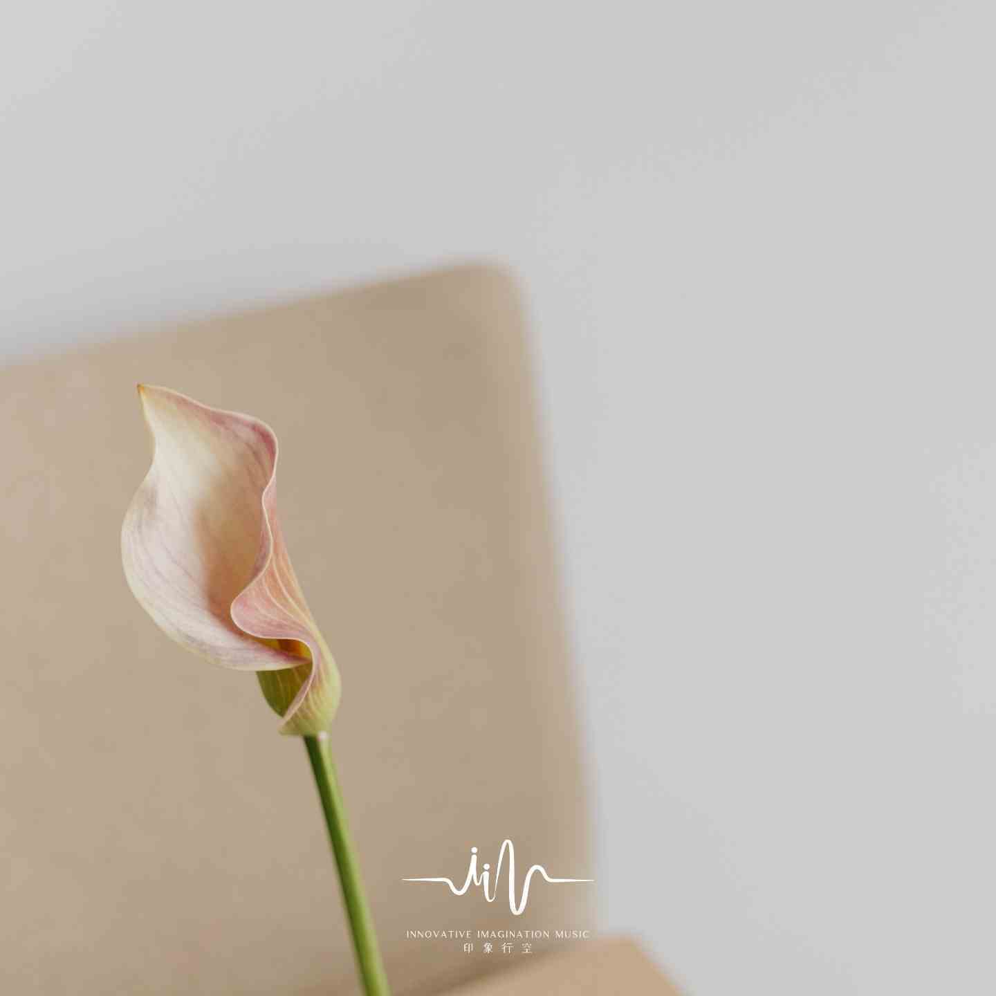 浮生错 (静心舒缓轻音乐古筝)