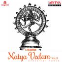 Natya Vedam, Vol. 8专辑