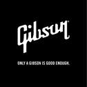 Only A Gibson Is Good Enough专辑