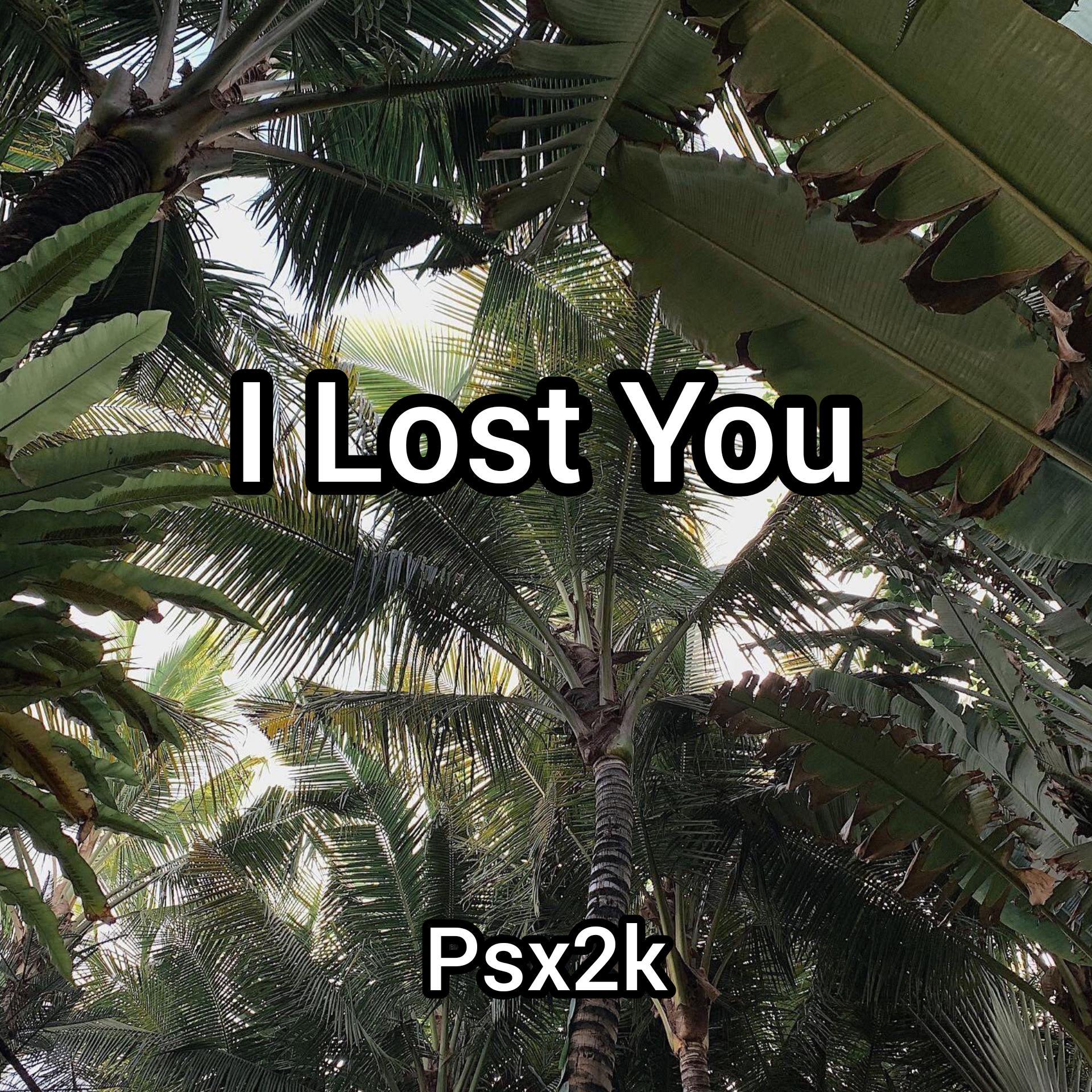 Havana / Yaar-I Lost You（Psx2k remix）