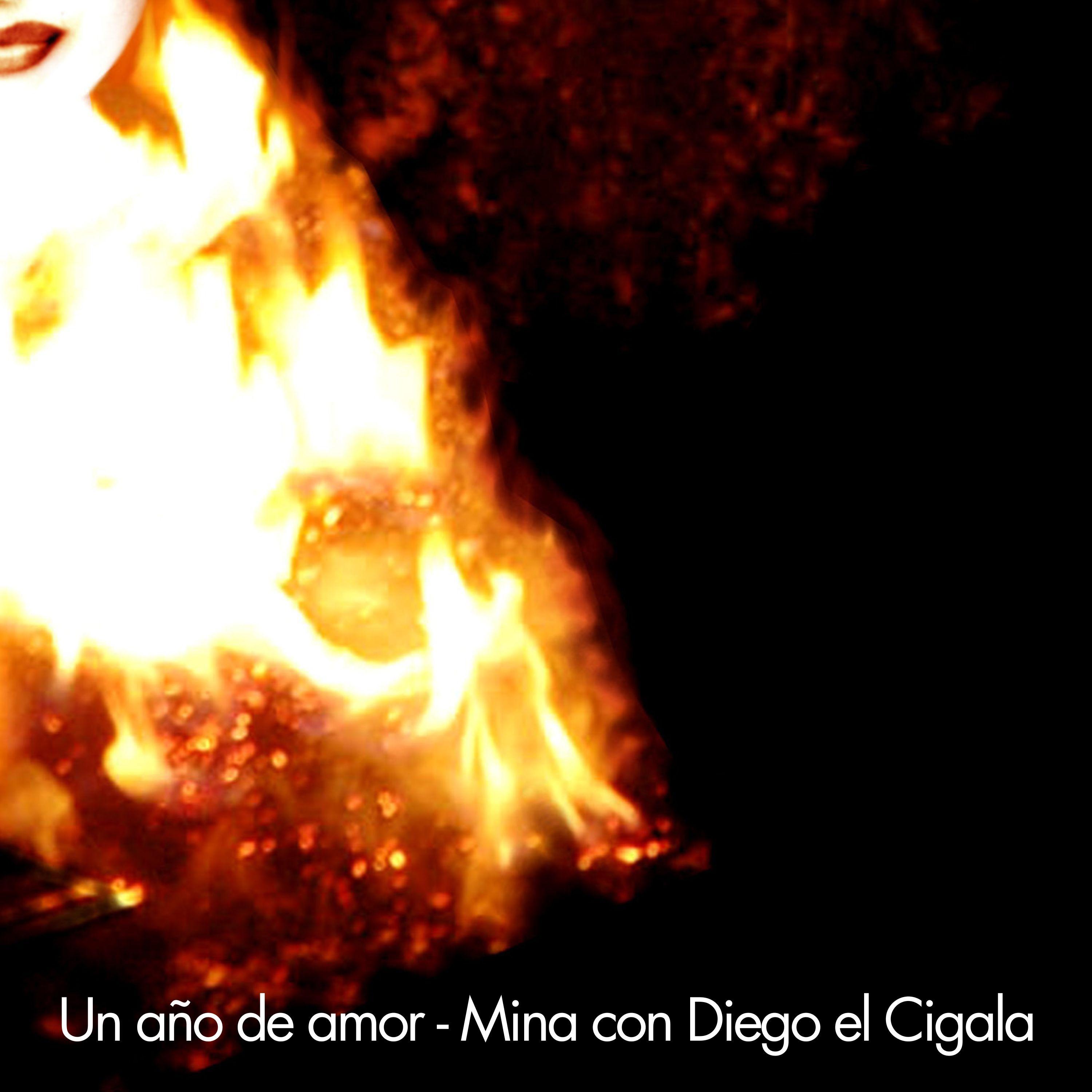 Un Año De Amor