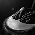 In Dub Mission (Original Mix) Yang Bing