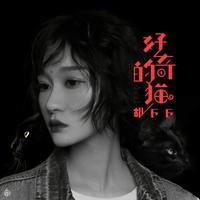 胡66 - 好奇的猫 （伴奏）