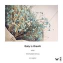 Baby's Breath