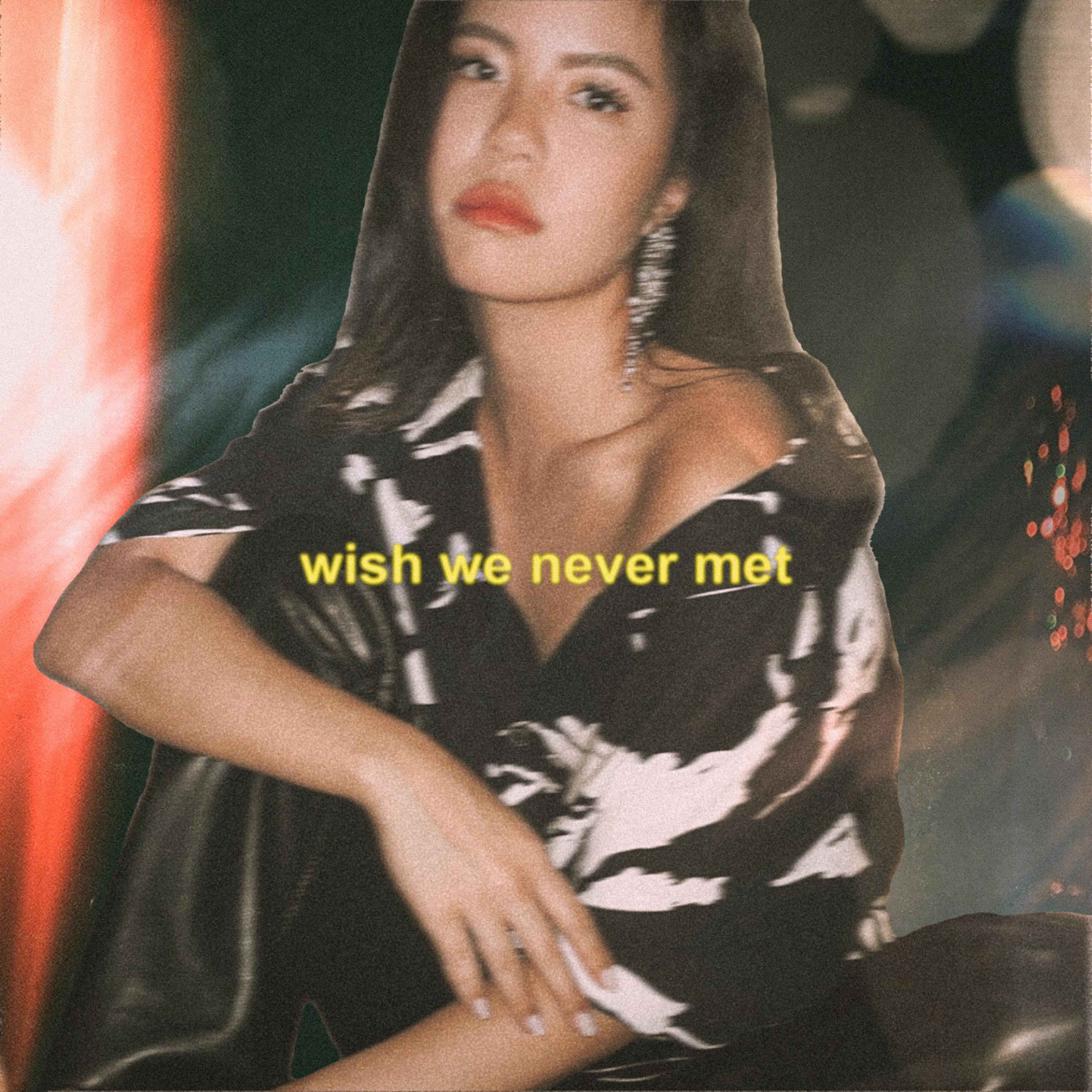 wish we never met