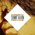   Am I Wrong (Sonny Alven Remix) 专辑