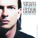 Barcelona Nights: The Best Of Ottmar Liebert Volume One专辑