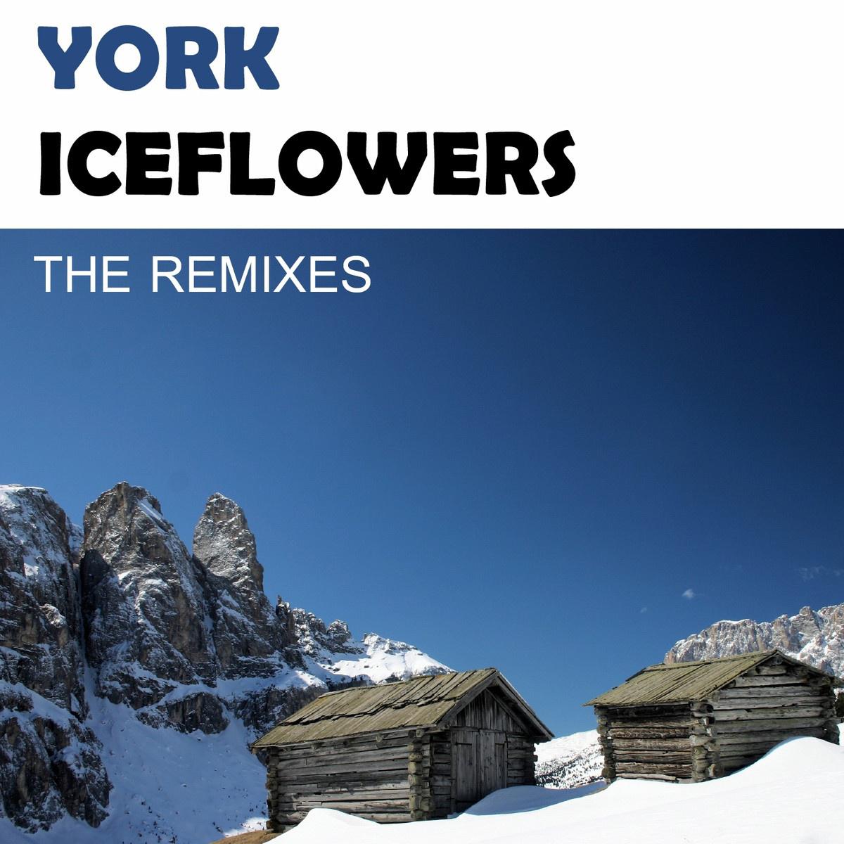 Iceflowers (The Mixes)专辑