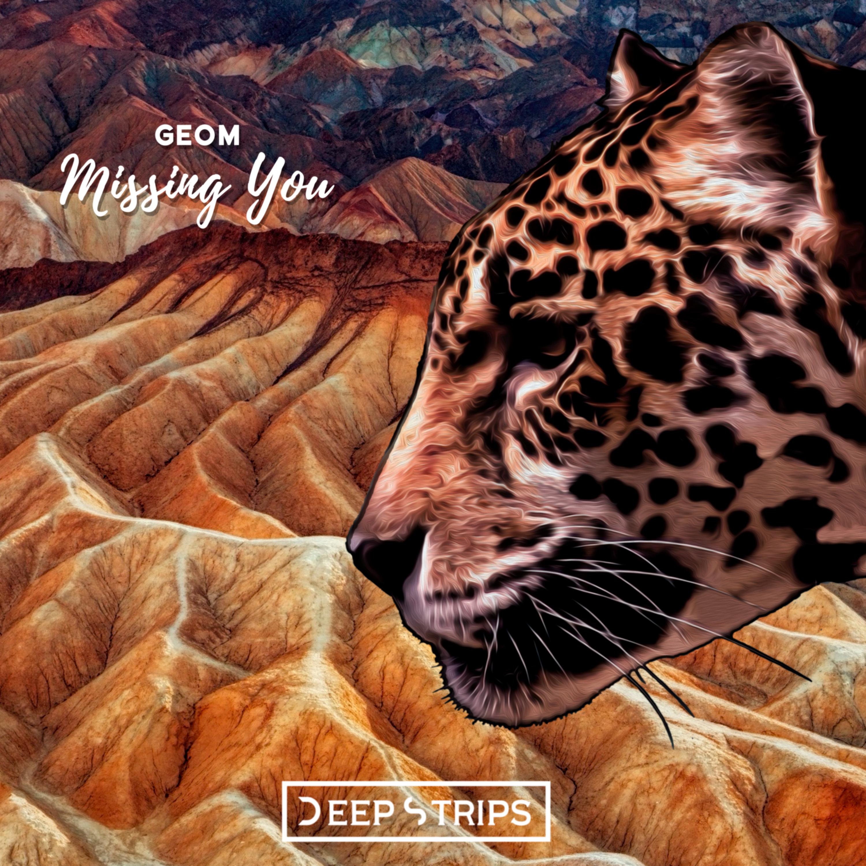 GeoM - Missing You (Original Mix)