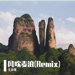 唐璟格-风吹麦浪(Remix)（毛天强 / 唐璟格 remix）