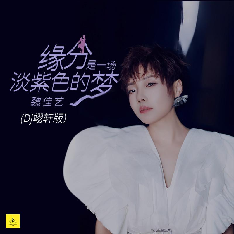 魏佳艺歌曲封面