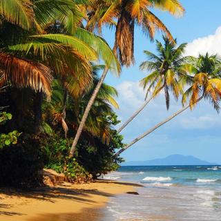 『电子·Tropical House』阳光|沙滩|海风