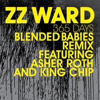 Zz Ward - 365 Days (karaoke Version)